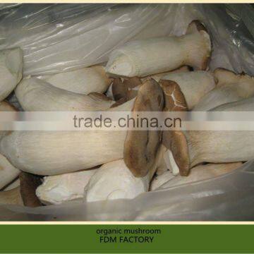 king oyster mushroom farm