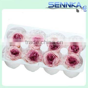 Wholesale Fresh Preserved Big Austin Rose Head Big Preserved Flower photo-4