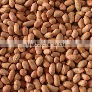 Java peanut kernel 70/80