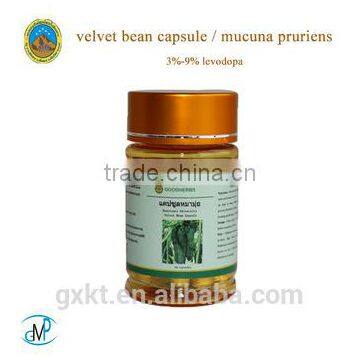 Hot Sale Velvet Bean /Mucuna pruriens L - Dopa 99%