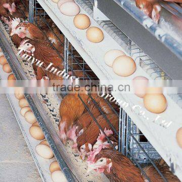 battery chicken cage