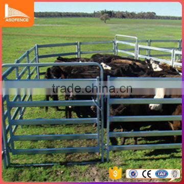 american and australia market most popular cattle fence shed