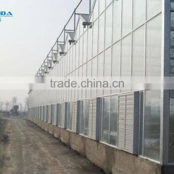Large Multi-span PE Film Green House Agriculture & Commercial Used Greenhouse