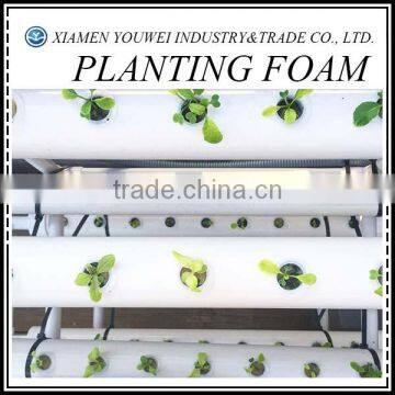 Polyurethane Floral Foam Block Planting Foam/Seeding Foam