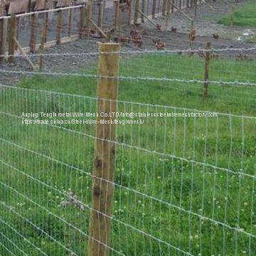 Galvanized Kraal Mesh Fence/Grasslanf Fence/Fence Mesh