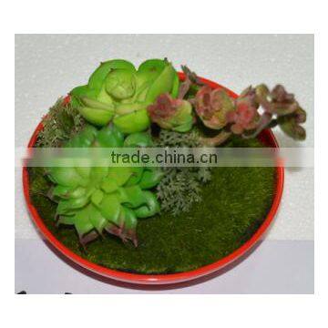 SJ0409032 Indoor Wall Hanging Mini Wall Art Decoration photo-4