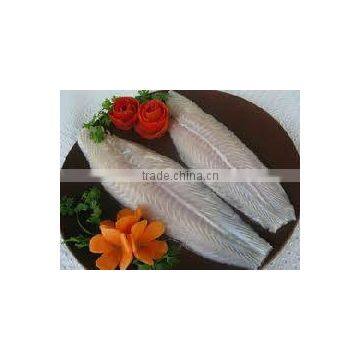 Well Trimmed Pangasius Fillet photo-2