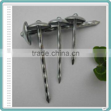 Umbrella Head Roofing Nails Packing in Gunny Bag or Carton