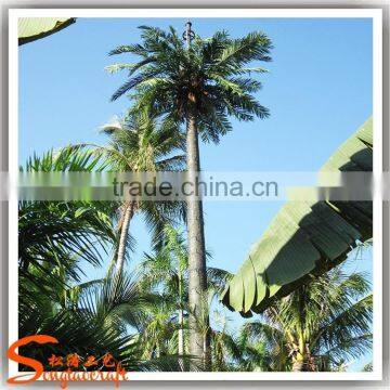 For Outdoor Landscaping Solar Lighted Palm Trees Tall Large Plastic Trees Customize Communication Tree and Plants photo-6