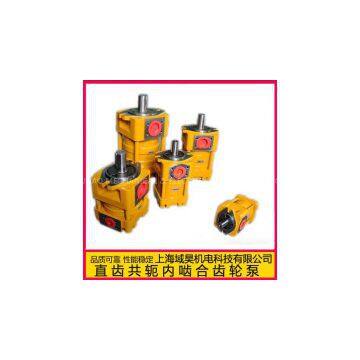 NT5-G100F Internal Gear Pump
