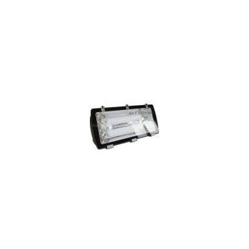 200W Electrodeless Lamp for Tunnel Light (LCL-TL001)