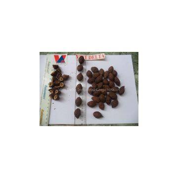 MALVA NUTS Vietnam 2016 ( Jolie Whatsapp Viber 84 98 358 7558)