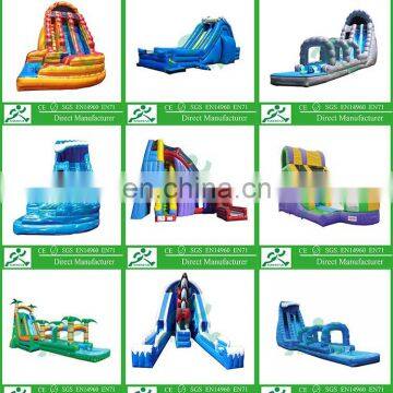 Giant Inflatable Water Slide for Sale, Inflatable Water Slide for Adult photo-3