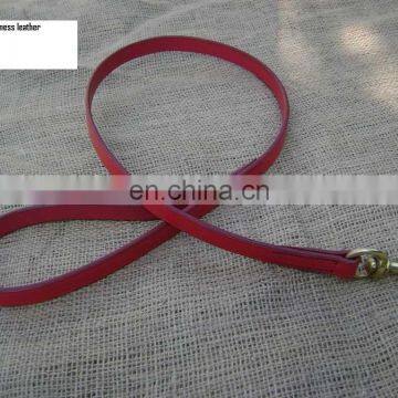 Pain Leather Dog Collar and Leash photo-4