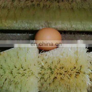 Manufactory Direct Sale Fresh Egg Cleaning Machine
