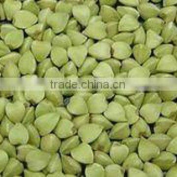 hulled buckwheat / organic and common