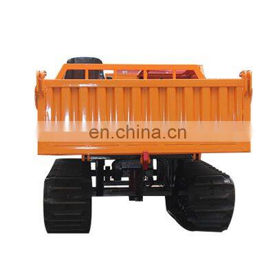 Ride on track power dumper