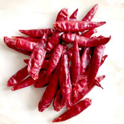 Chili Pepper photo-5