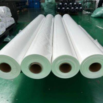 Polyethylene (PE) Film LDPE Film For Food Packaging Lamination Bags