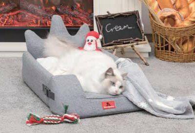 All-Seasons Crown Pet Bed With Cushion & Blanket photo-2