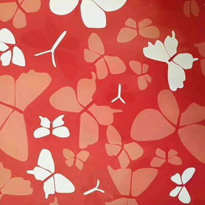 Embossed Pattern Printed Color Coated Steel Coil PPGI PPGL Wood Grain Texture Prepainted Galvanized Steel Coil photo-2