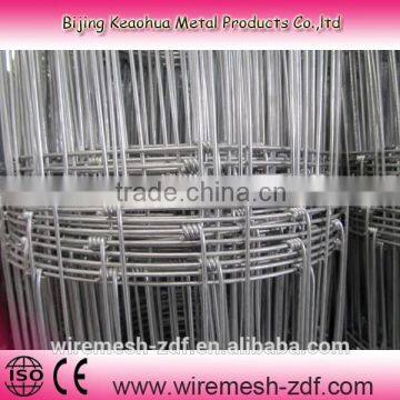 Used Hot Dipped China Grassland Fence photo-3