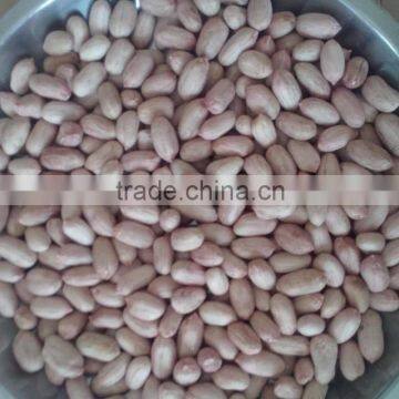 FLOWER 11 PEANUT KERNELS 34/38