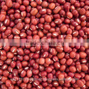 RED SORGHUM
