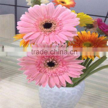 Fresh Cut Flower Premium Gerbera Flower With Various Colors For Wholesale