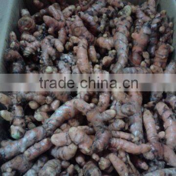Turmeric photo-3