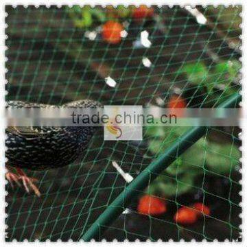 Plastic Anti Bird Mesh