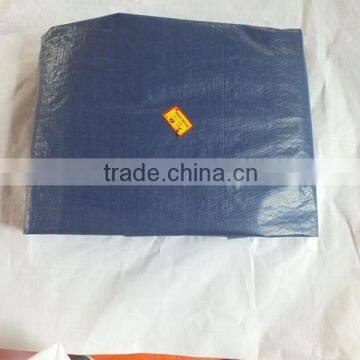 custom plastic tarp sliver/blue plastic sheet triangle plastic rope 20 FCL container waterproof factory directly hot sell