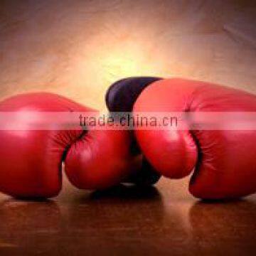 Boxing Gloves grenn black cheapest price