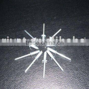 Stainless Steel Rivet/Metal Rivet/Blind Rivet