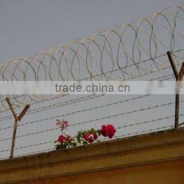 Galvanized Barbed Iron Wire (Youjie Factory)