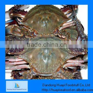 IQF frozen whole crab