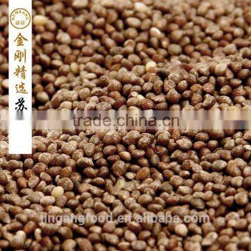 Brown Perilla Seeds for Oil/china Periiia Oil Supplier's Choice photo-2