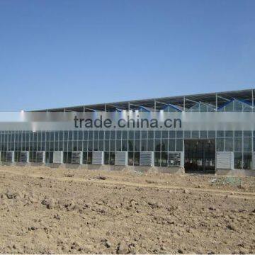 Multi Span Commercial Glass Greenhouse Greenhouse