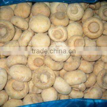 Hot Sell Fresh Frozen Mushroom photo-2