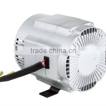 3.5KW AC Single Phase Inverter Alternator with PMG