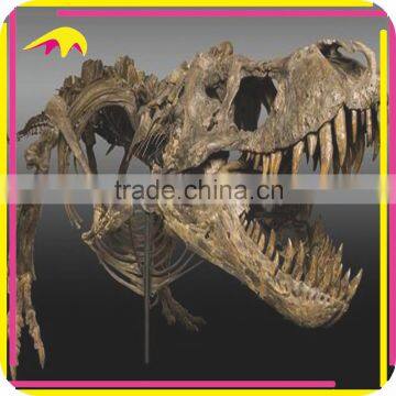 KANO5947 Amazing Fiberglass Life Size Dinosaur Fossil Replica