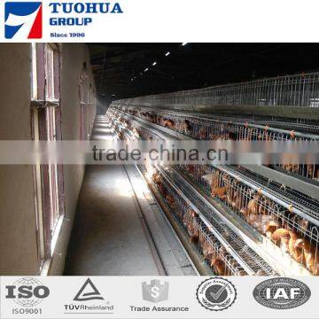 High quality chicken egg layer cages,egg layers cage design