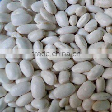 A grade white Kidney beans/medium 2010