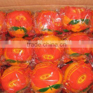 Citrus Fruit Bulk Oranges Safety Net photo-2