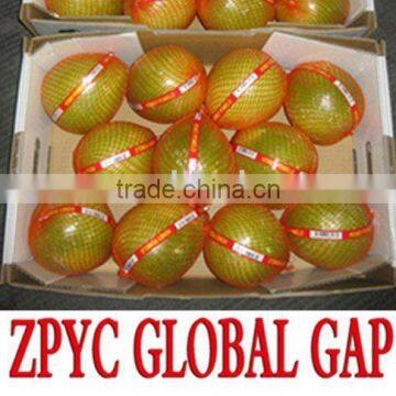 Sweet pinghe pomelo