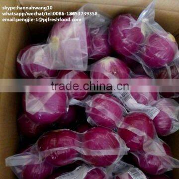 2016 New Crop Fresh Peeled Onion