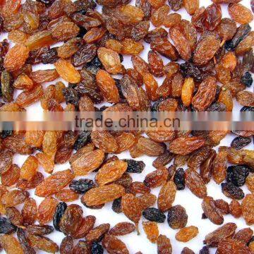 China Dried Sultana Raisin