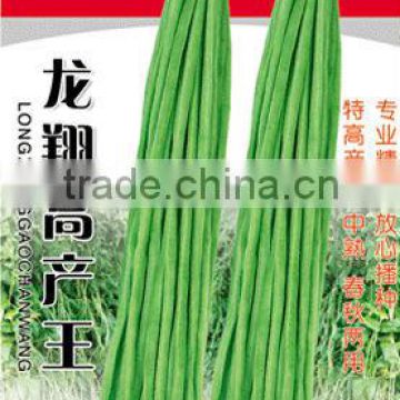 Chinese High Yield Long Green Asparagus Bean Seeds Cowpea Seeds For Growing-Long Xiang High Yield King