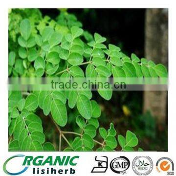 GMP Manufacture supply high quality pure Moringa Oleifera Leaf Powder