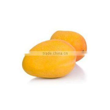 Alphonso Mango Slices In Syrup photo-3